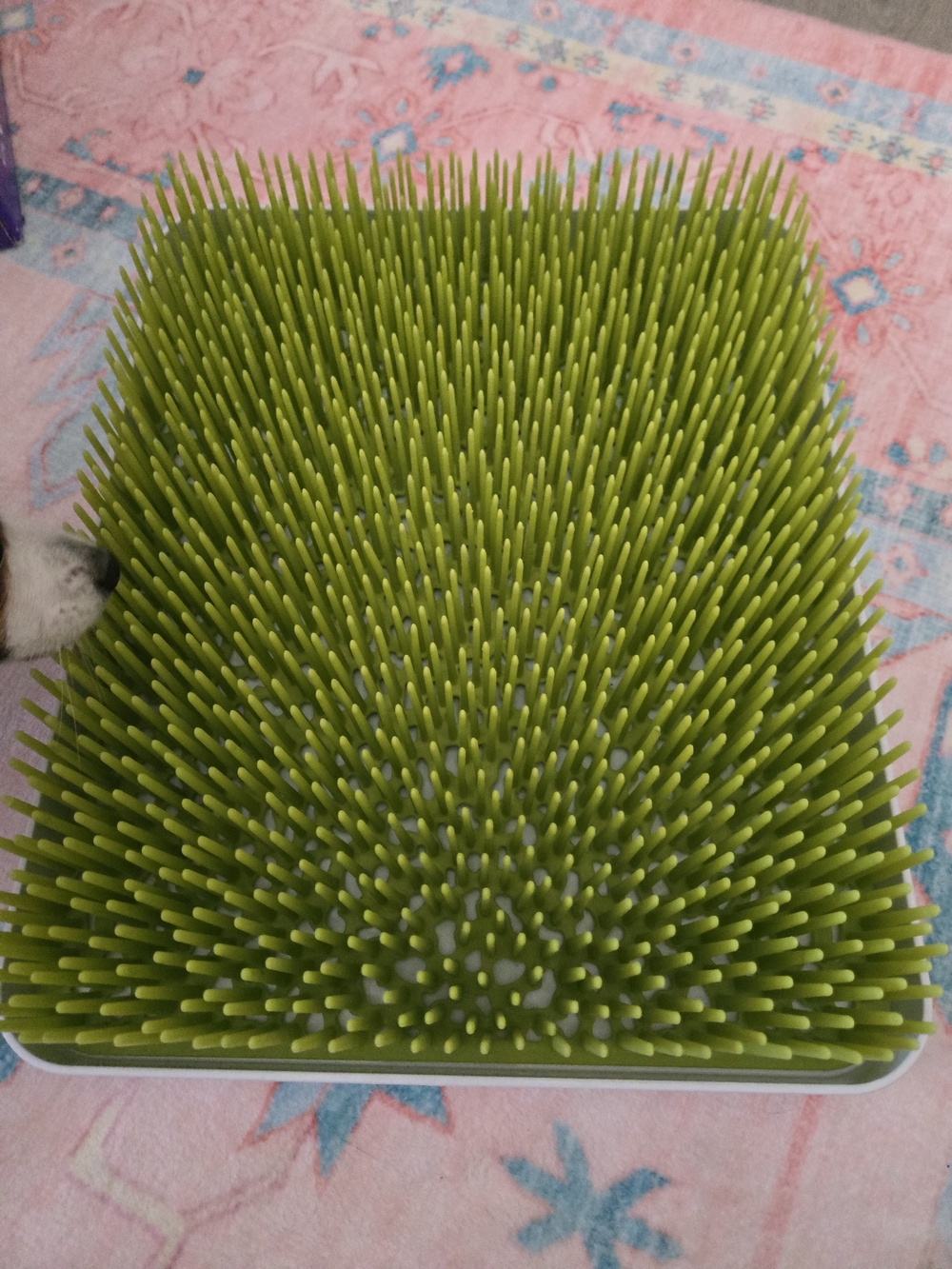 Green Grass-Style Bottle Drying Rack - Home Bath